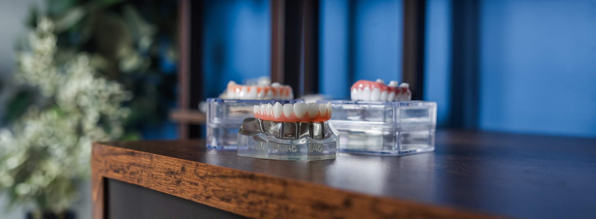 The image shows a collection of toothbrushes on display, possibly in a dental office setting, with a focus on oral hygiene products.